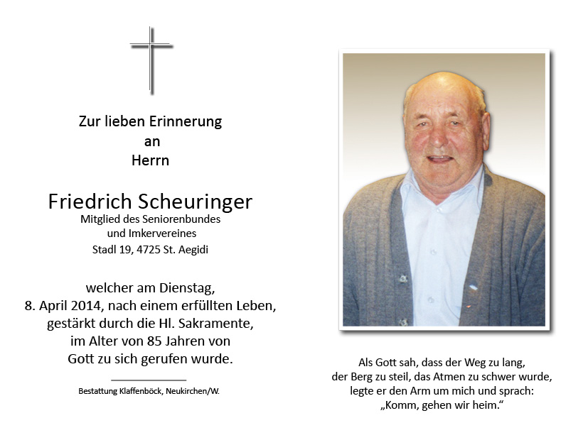 Friedrich  Scheuringer