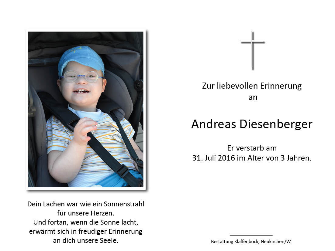 Andreas  Diesenberger