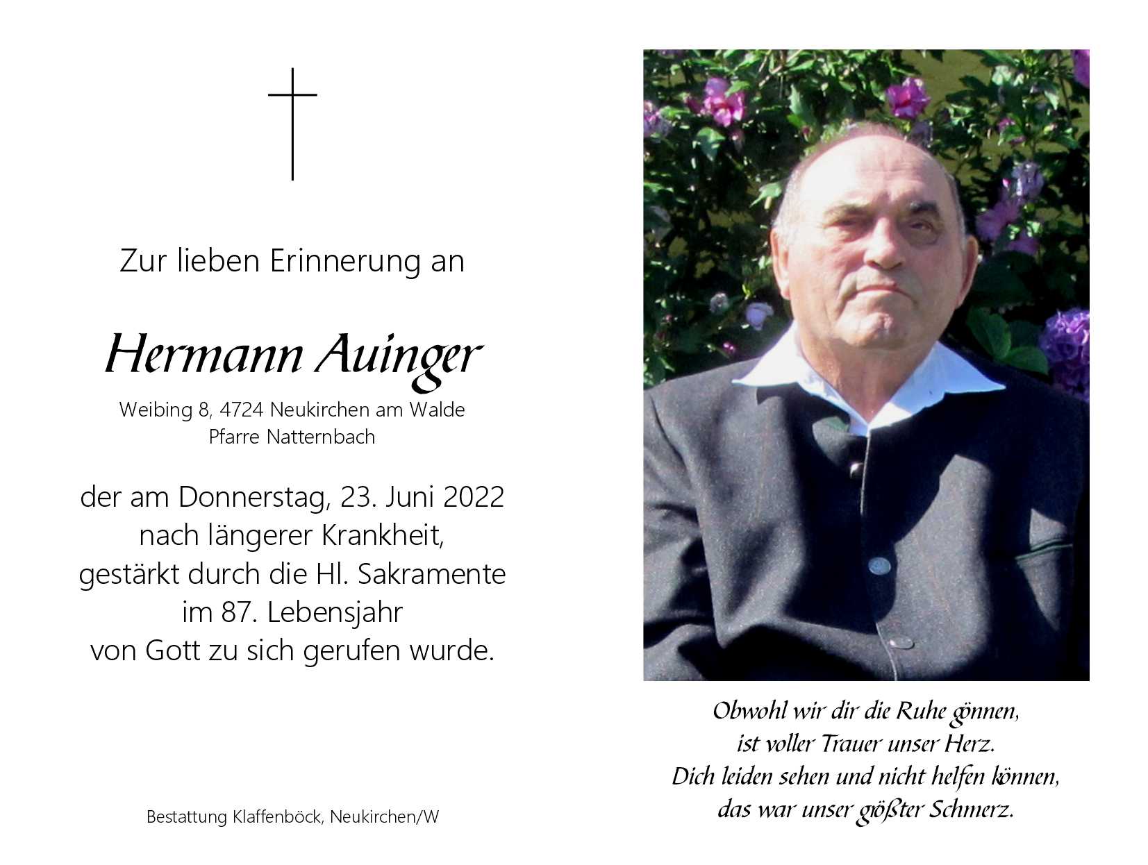 Hermann  Auinger